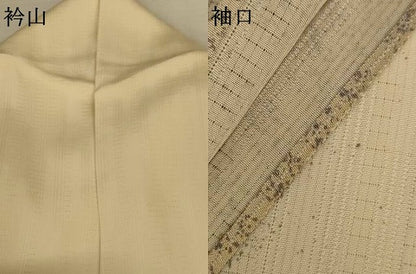 平和屋着物＊夏物　訪問着　紋絽　魚　暈し染め　正絹　逸品　AABL5141jd