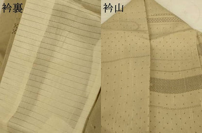 平和屋着物＊夏物　紗紬　エ霞文　正絹　逸品　AABL5144jd