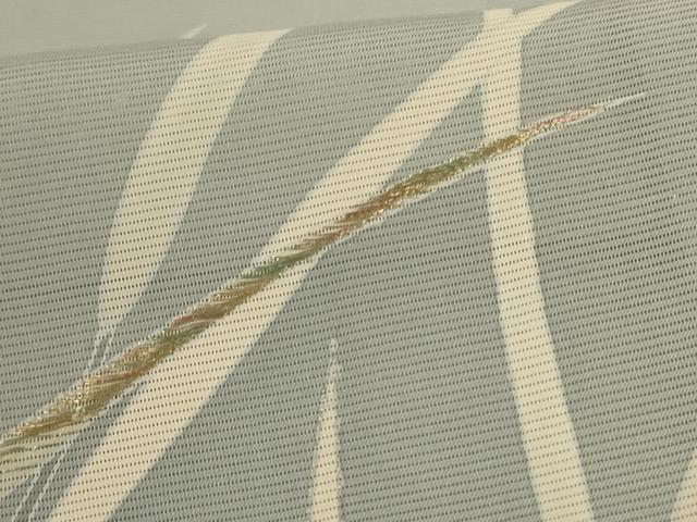 平和屋着物＊夏物　訪問着　絽　刺繍　草葉文　暈し染め　銀彩　正絹　逸品　AABL5145jd