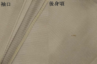平和屋着物＊夏物　訪問着　絽　花丸文　暈し染め　銀彩　正絹　逸品　AABL5146jd