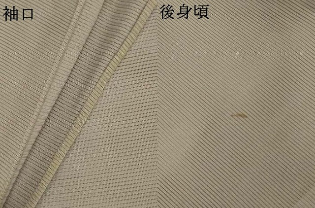平和屋着物＊夏物　訪問着　絽　花丸文　暈し染め　銀彩　正絹　逸品　AABL5146jd