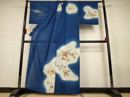 平和屋着物＊夏物　訪問着　絽　手描き　柿　暈し染め　正絹　逸品　AABL5167jd