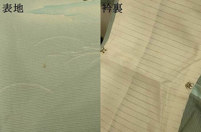 平和屋着物＊夏物　訪問着　絽　友禅　風景文　ロング丈　正絹　逸品　AABL5168jd