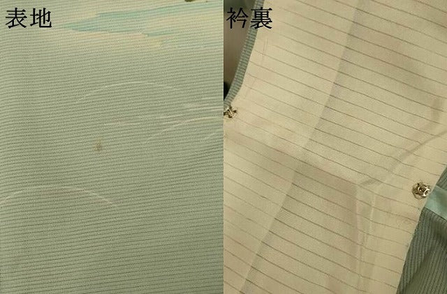 平和屋着物＊夏物　訪問着　絽　友禅　風景文　ロング丈　正絹　逸品　AABL5168jd