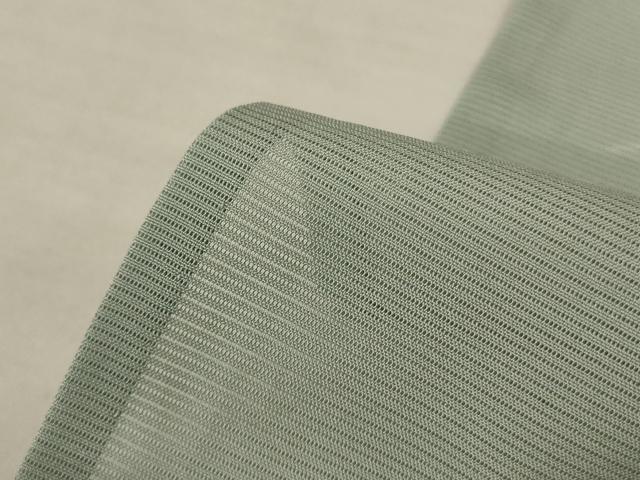 平和屋着物＊夏物　訪問着　絽　友禅　風景文　ロング丈　正絹　逸品　AABL5168jd