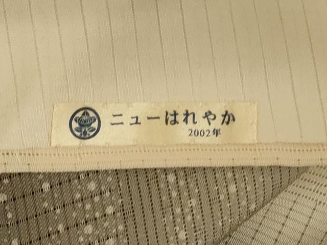 平和屋着物＊夏物　小紋　紋絽　間道　暈し染め　ロング丈　正絹　逸品　AABL5176jd