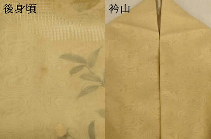 平和屋着物▽訪問着　無双　紗袷　紗×紗　手描き　草花文　正絹　逸品　AABL5177jd