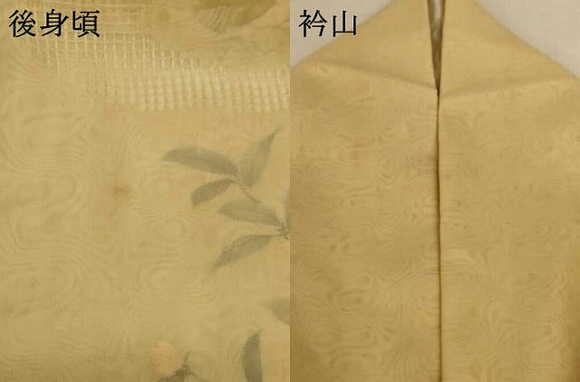 平和屋着物▽訪問着　無双　紗袷　紗×紗　手描き　草花文　正絹　逸品　AABL5177jd