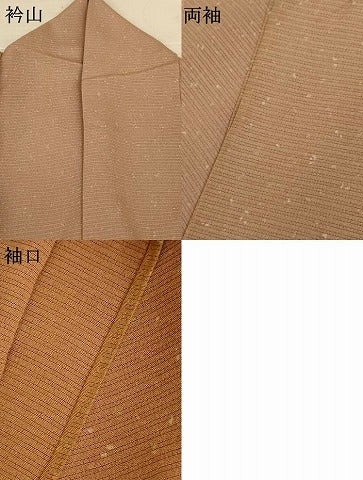 平和屋着物＊夏物　小紋　絽縮緬　霞文　正絹　逸品　AABL5201jd
