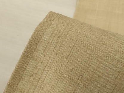 平和屋着物＊夏物　訪問着　生紬　紗　風景文　正絹　逸品　AABL5207jd