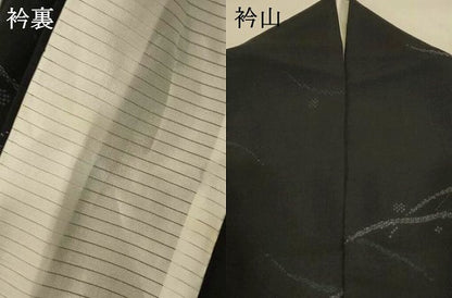 平和屋着物＊夏物　結城紬　夏結城　100亀甲　飛び亀甲柄　露芝文　黒地　正絹　逸品　AABL5218jd