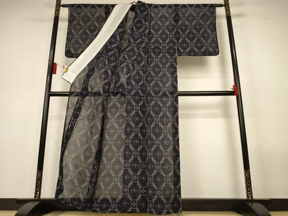 平和屋着物＊夏物　本場琉球絣　夏琉球　正絹　逸品　AABL5230jd