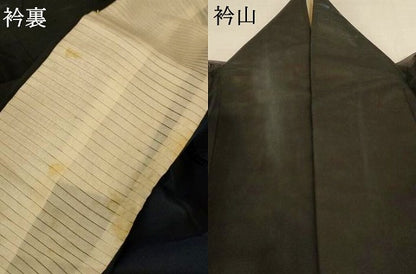 平和屋着物＊夏物　小紋　紗　風景文　黒地　正絹　逸品　AABL5236jd