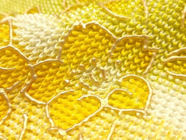 平和屋本店●和装小物　帯締め・帯揚げセット　総絞り　枝花文　金糸　金彩　撚り房　正絹　逸品　未使用　AABL5259ay