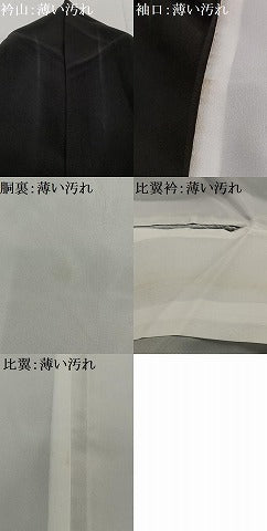 平和屋着物■豪華黒留袖　刺繍　孔雀文　金銀糸　洗える着物　AABL5410oa