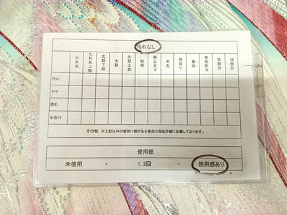 平和屋着物◎両面　全通柄袋帯　唐織　孔雀羽文　金銀糸　正絹　逸品　AABL5743yx