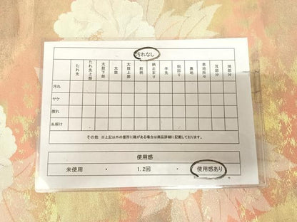平和屋着物◎六通柄袋帯　舞花文　金銀糸　引箔　正絹　逸品　AABL5882yx