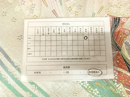 平和屋着物◎六通柄袋帯　唐織　立浪舞花女人文　金銀糸　正絹　逸品　AABL6092yx