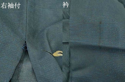 平和屋着物＊夏物　訪問着　絽　流水草花文　金彩　洗える着物　AABL6170st