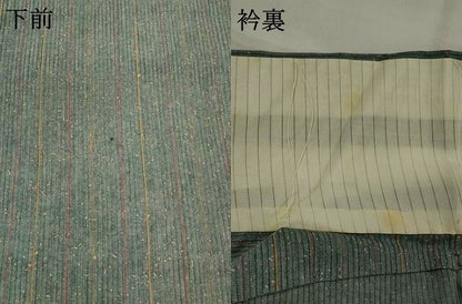 平和屋着物＊夏物　小紋　縦絽　間道　正絹　逸品　AABL6186st
