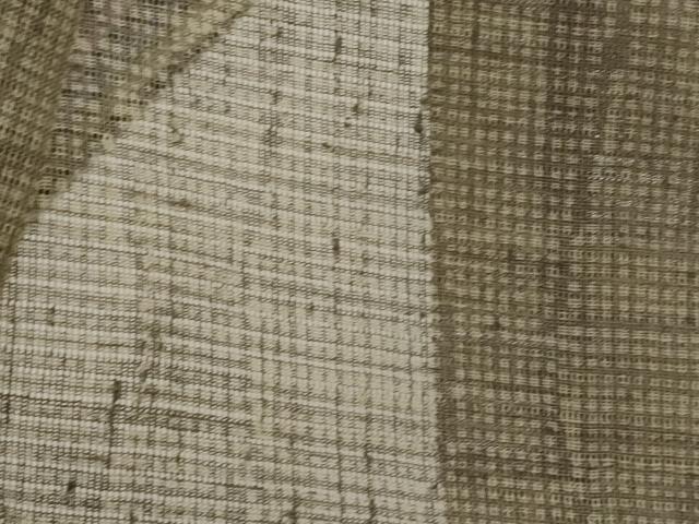 平和屋着物＊夏物　小紋　絽紬　立涌文様　正絹　逸品　AABL6190st