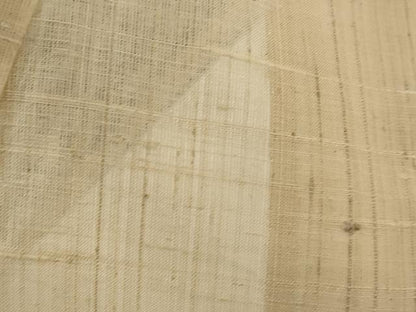平和屋着物＊夏物　訪問着　生紬　紗　流水草花文　正絹　逸品　AABL6196st