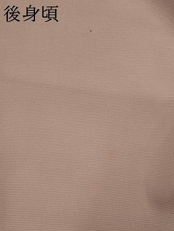 平和屋着物＊夏物　訪問着　絽　草花文　暈し染め　金銀彩　正絹　逸品　AABL6213st