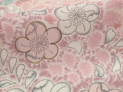 平和屋着物＊夏物　訪問着　絽　辻が花　金彩　洗える着物　AABL6225st