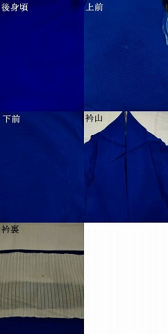 平和屋着物＊夏物　訪問着　絽　草葉文　金彩　正絹　逸品　AABL6231st