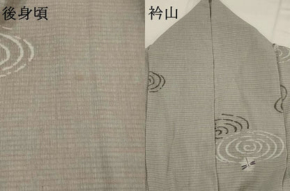平和屋着物＊夏物　小紋　絽縮緬　蜻蛉　洗える着物　AABL6254st