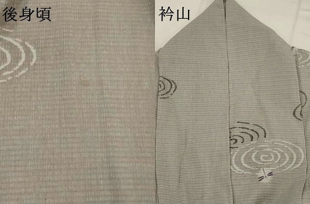 平和屋着物＊夏物　小紋　絽縮緬　蜻蛉　洗える着物　AABL6254st