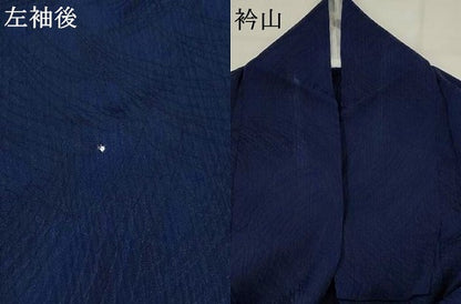 平和屋着物＊夏物　小紋　ちぢみ織　草葉文　AABL6273st