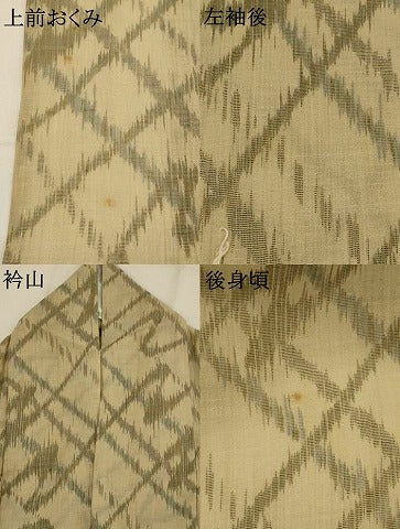 平和屋着物＊夏物　小紋　紗　幾何学文様　AABL6279st
