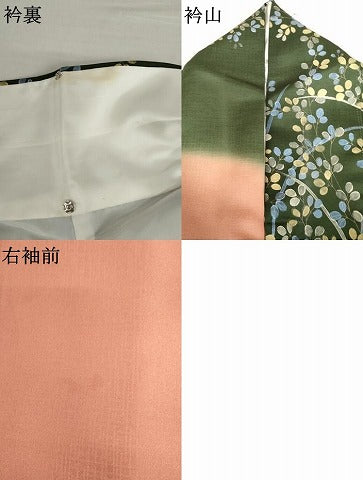 平和屋着物▼訪問着　萩　枝花文　暈し染め　金銀彩　正絹　逸品　AABL6411cs