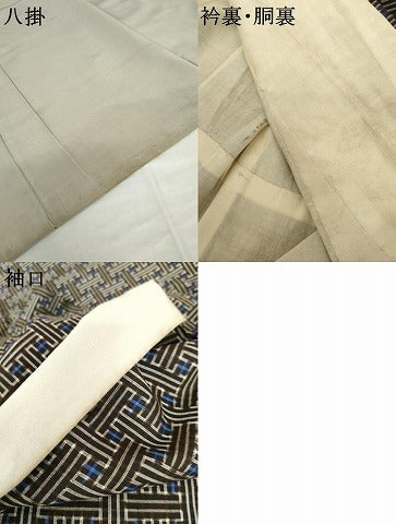 平和屋着物●本場大島紬　龍郷絣　秋名バラ　正絹　逸品　AABL6417cs
