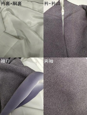 平和屋着物●江戸小紋　彫士：住田双光・染士：服部光擴　極小鮫小紋柄　鬼しぼ縮緬　正絹　逸品　AABL6516cs