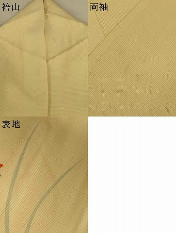 平和屋着物＊夏物　訪問着　絽　草花文　正絹　逸品　AABL6566jd