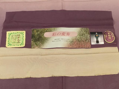 平和屋着物＊夏物　訪問着　絽　泥草木染　墨流し霞文　暈し染め　反端付き　正絹　逸品　AABL6575jd