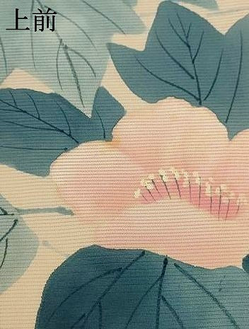 平和屋着物＊夏物　訪問着　絽　手描き　草花文　正絹　逸品　未使用　AABL6599jd