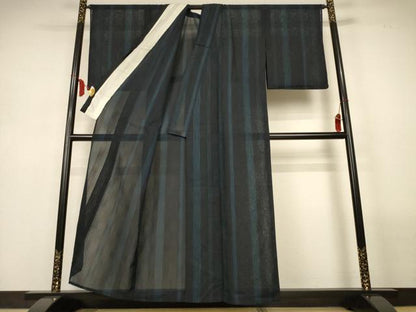 平和屋着物＊夏物　小紋　紗　変わり縞　黒地　正絹　逸品　AABL6646jd