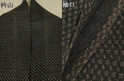 平和屋着物＊夏物　小紋　紗　絣文　綿麻　AABL6669jd