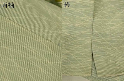 平和屋着物＊夏物　訪問着　絽　草花文　正絹　逸品　AABL6704jd