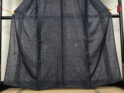 平和屋着物▽訪問着　無双　紗袷　紗×絽　芝文　銀彩　正絹　逸品　未使用　AABL6841jh