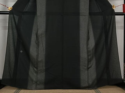 平和屋着物▽訪問着　無双　紗袷　紗×絽　幾何学文様　銀彩　正絹　逸品　AABL6852jh