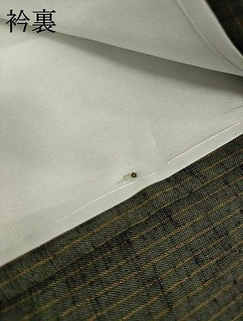 平和屋着物●上質な紬　縞　正絹　逸品　未使用　AABL7248ck