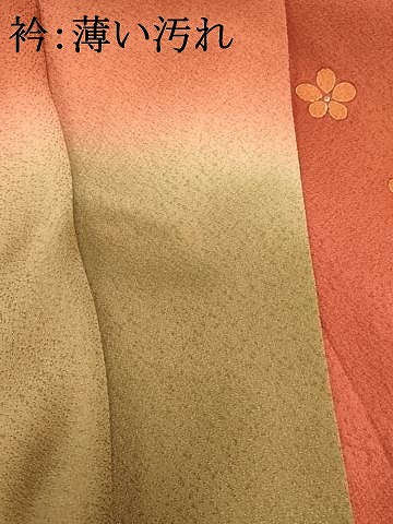平和屋着物■訪問着　駒刺繍　舞花文　暈し染め　金彩　正絹　逸品　AABL7281br