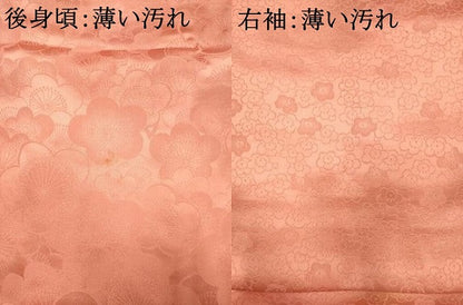 平和屋着物■訪問着　梅尽くし　暈し染め　正絹　逸品　AABL7286br