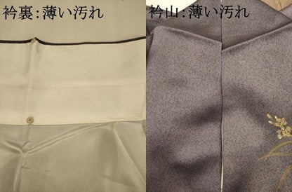平和屋着物■訪問着　手描き　葡萄　草花文　暈し染め　鈴乃屋扱い　正絹　逸品　AABL7287br