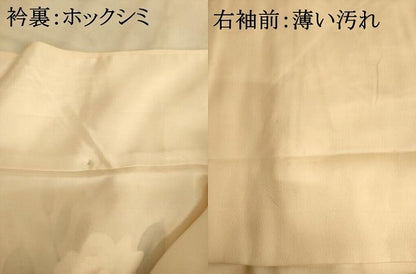 平和屋着物■訪問着　手描き　枝花文　正絹　逸品　AABL7294br