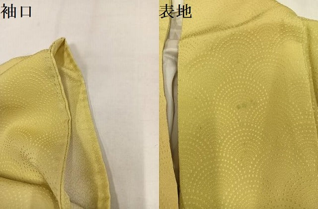 平和屋着物●上質な小紋　青海波地紋　暈し染め　正絹　逸品　AABL7392ph